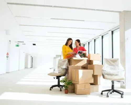 mover and packers service uae