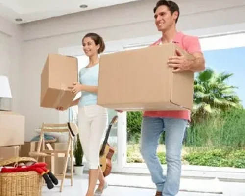 mover and packers service uae