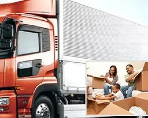 mover and packers service uae
